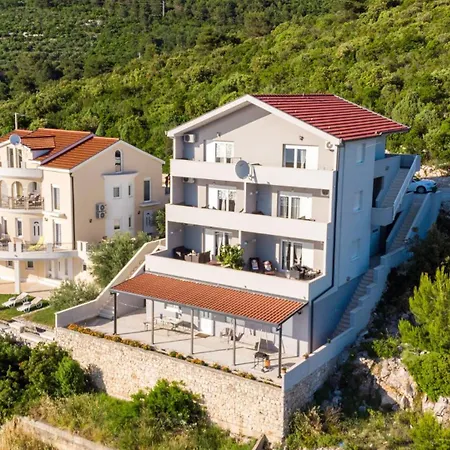 Arapovic 3 By Guide